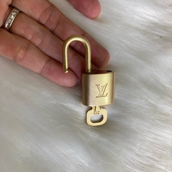 Louis Vuitton 319 - Picture 1 of 4